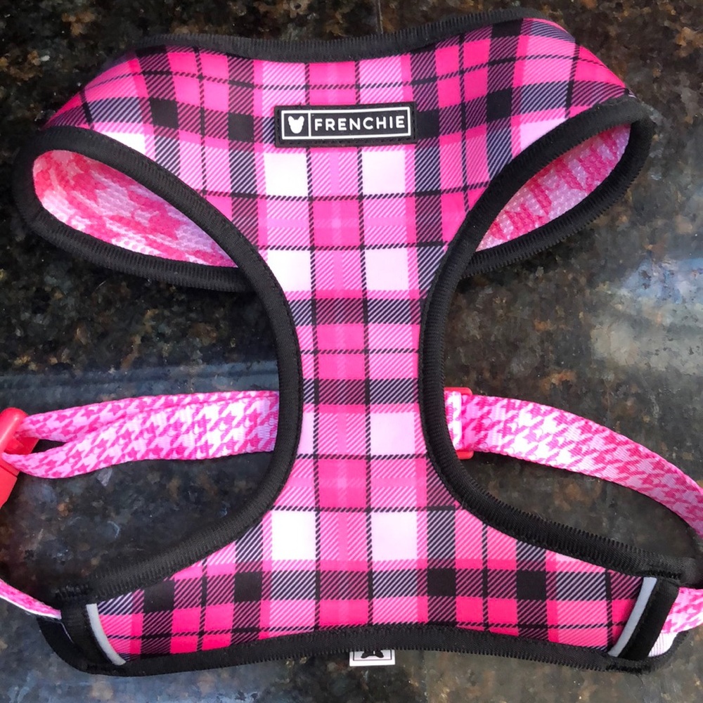 Frenchie harness